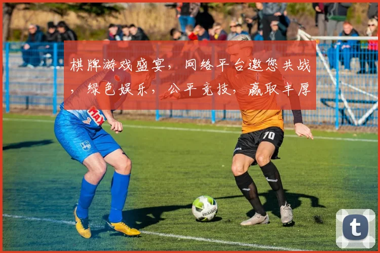 棋牌游戏盛宴，网络平台邀您共战，绿色娱乐，公平竞技，赢取丰厚奖励，尽在XX棋牌平台