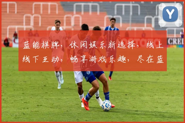 蓝能棋牌，休闲娱乐新选择，线上线下互动，畅享游戏乐趣，尽在蓝能棋牌